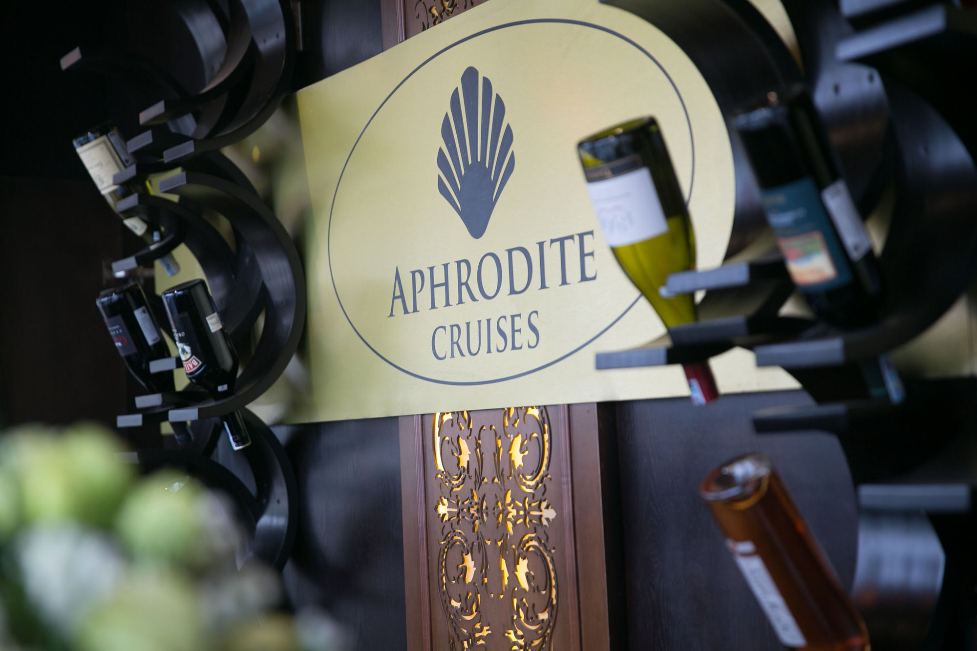 Aphrodite Cruise Ха Лонг Екстериор снимка
